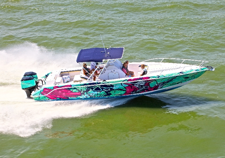 Slide 8